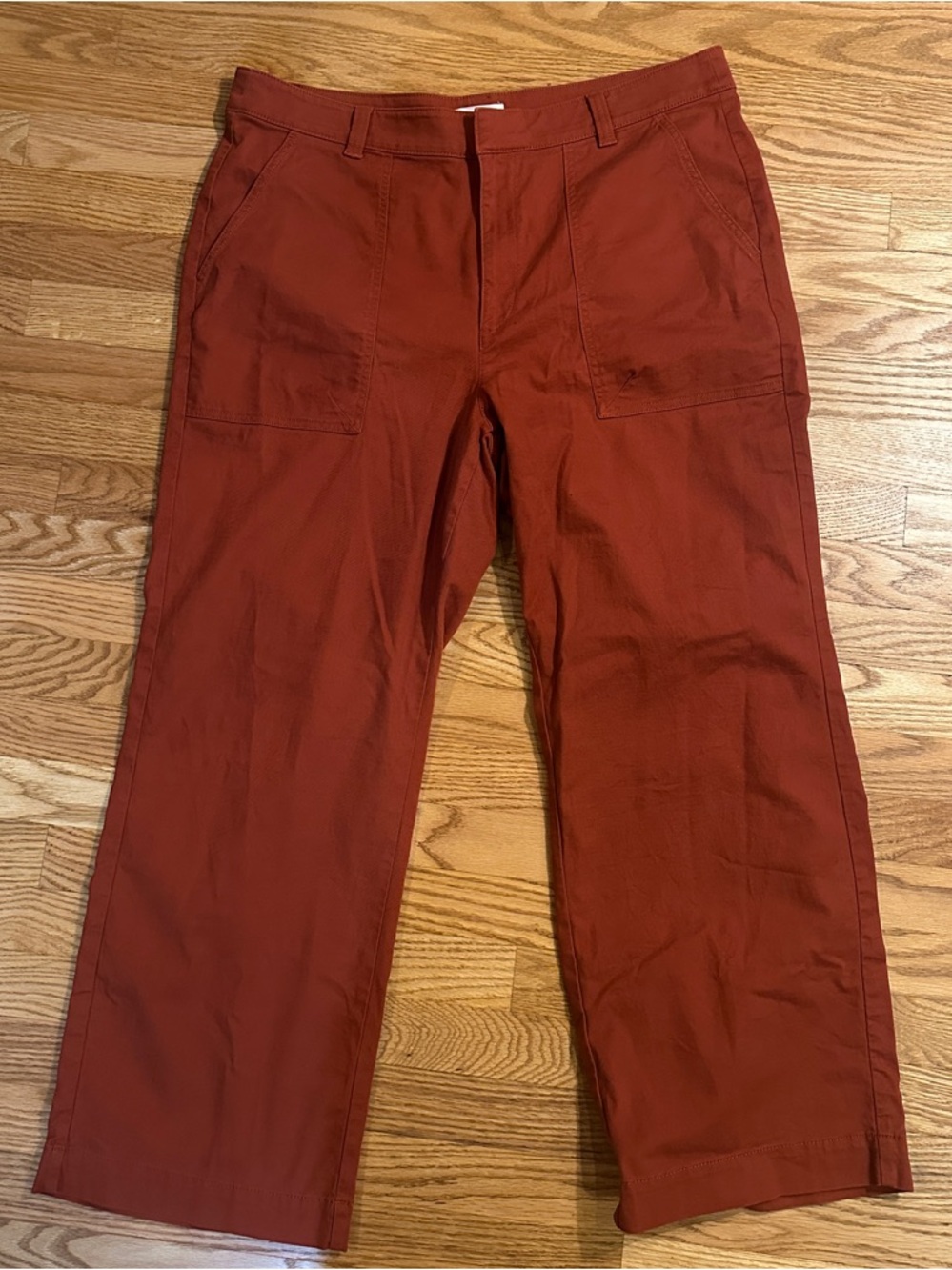 LOFT Wide Leg Pants in Rust